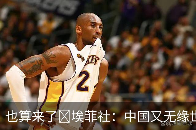 也算来了😅埃菲社：中国又无缘世界杯，但中国企业深度参与其中